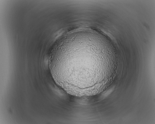 X0000116840288200912241234