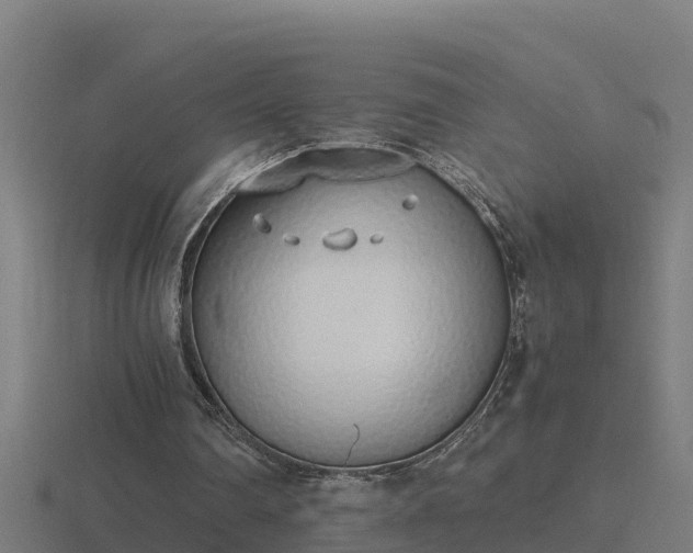 X0000116840290200912241234