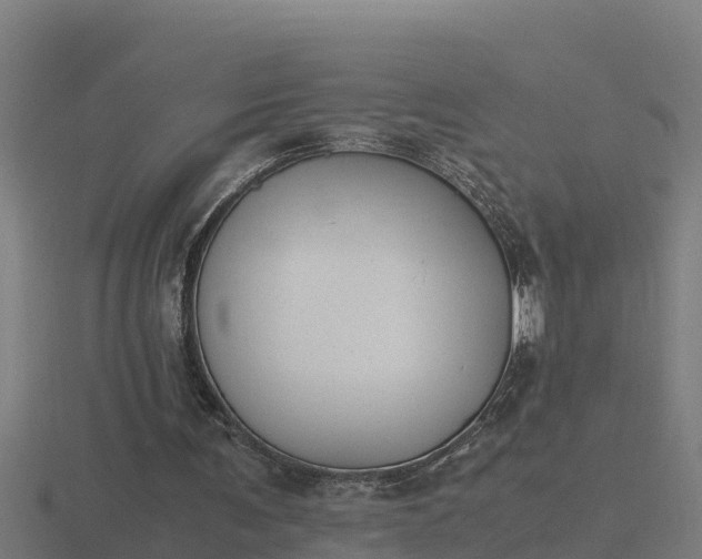 X0000116840291200912241234