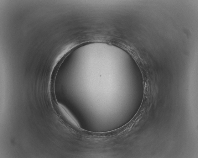 X0000116840292200912241234