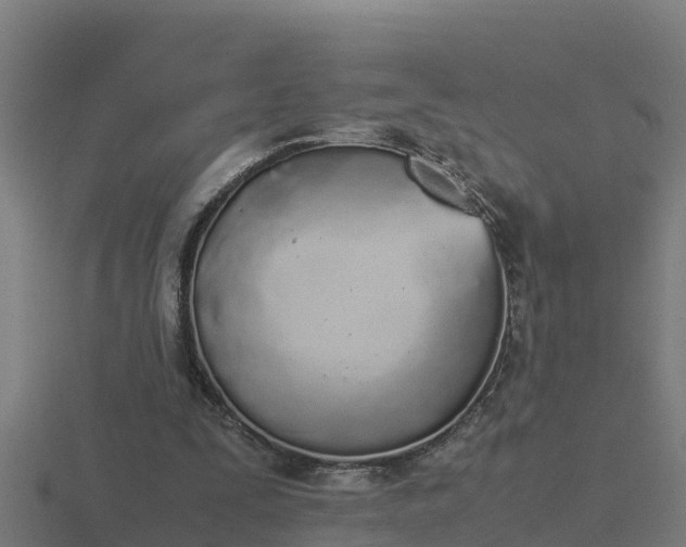 X0000116840295200912241234