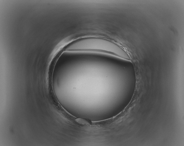 X0000116840296200912241234