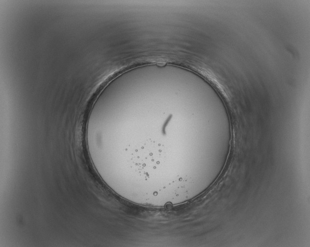 X0000116840297200912241234