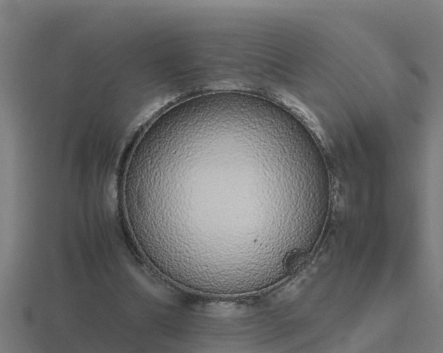 X0000116840298200912241234