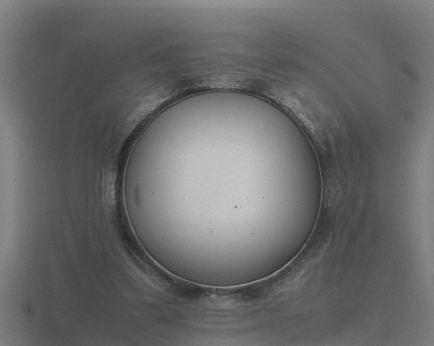 X0000116840299200912241234