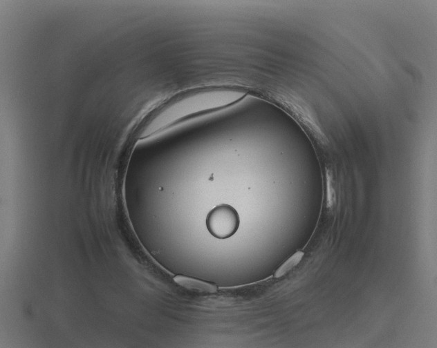 X0000116840300200912241234