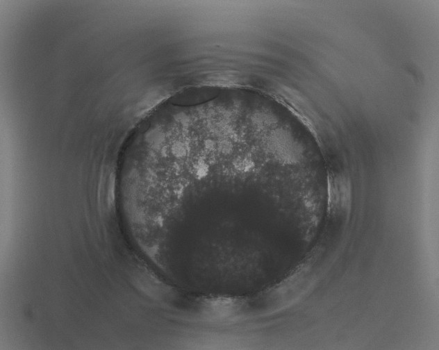 X0000116840301200912241234