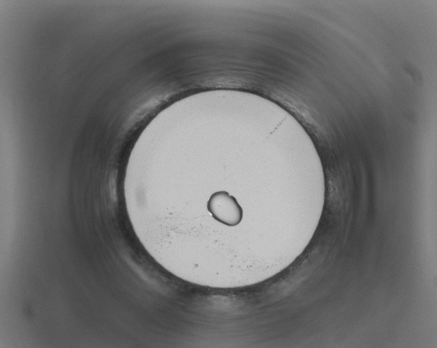 X0000116840302200912241234