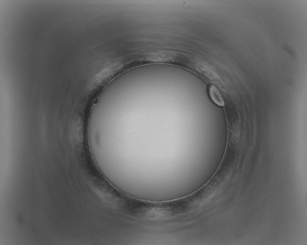 X0000116840303200912241233