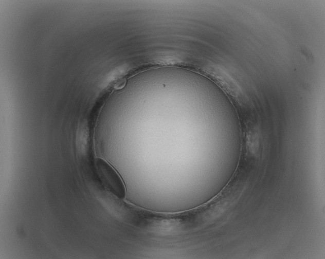 X0000116840304200912241233