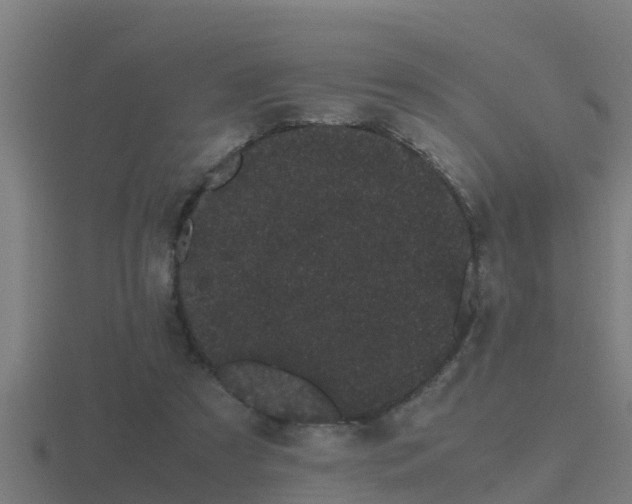 X0000116840305200912241233