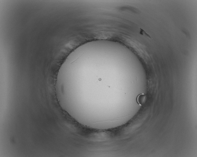 X0000116840307200912241233