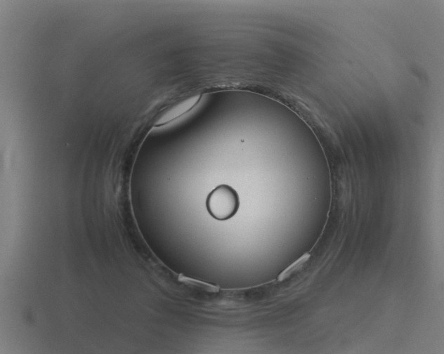 X0000116840308200912241233