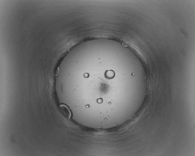 X0000116840309200912241233