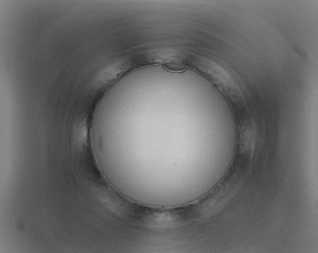 X0000116840310200912241233