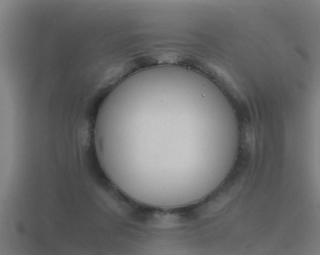 X0000116840311200912241233