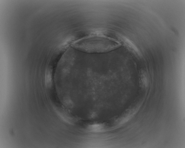 X0000116840312200912241233