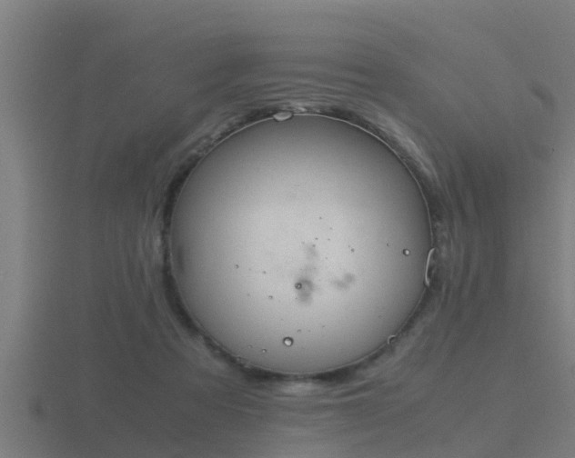 X0000116840313200912241233