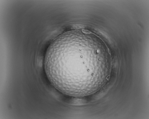 X0000116840315200912241233