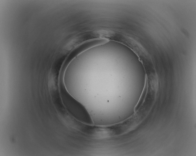 X0000116840316200912241233