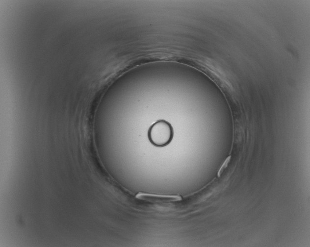 X0000116840317200912241233