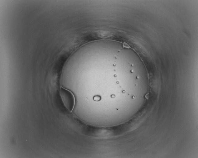 X0000116840319200912241233