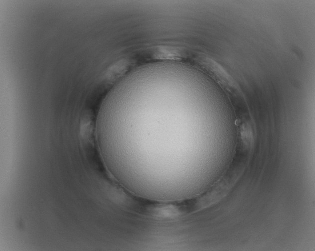 X0000116840322200912241233