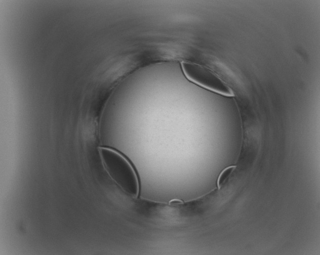 X0000116840325200912241233