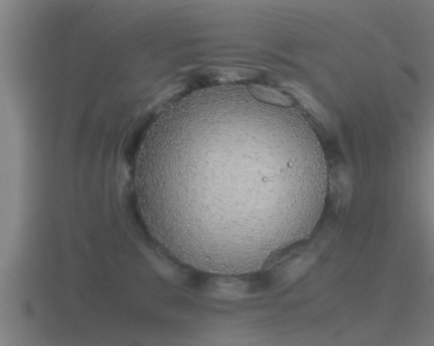 X0000116840327200912241233