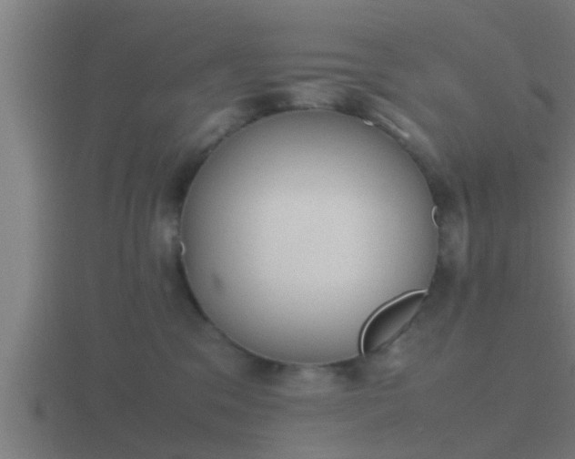 X0000116840329200912241233