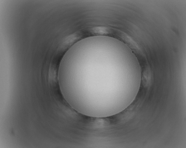 X0000116840330200912241233