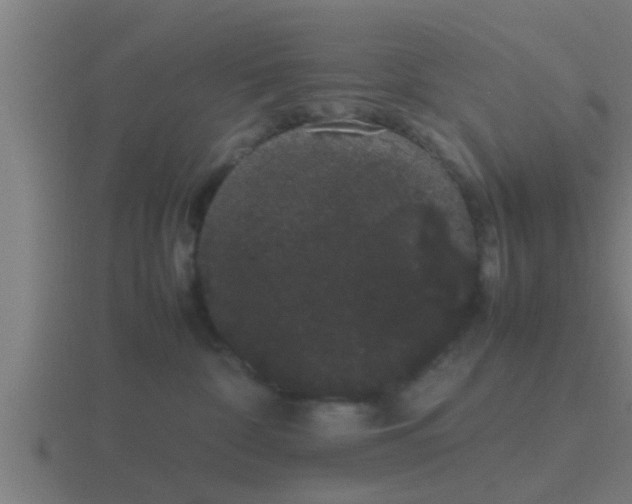 X0000116840332200912241233