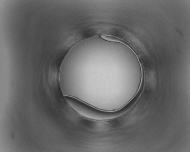 X0000116840333200912241233