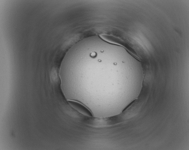 X0000116840335200912241233