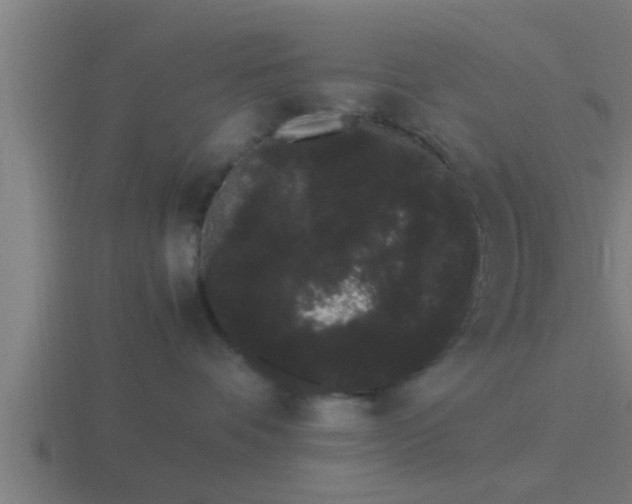 X0000116840336200912241233