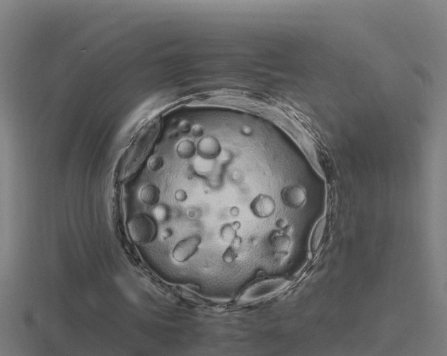 X0000116840339200912241233