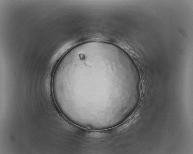 X0000116840341200912241233