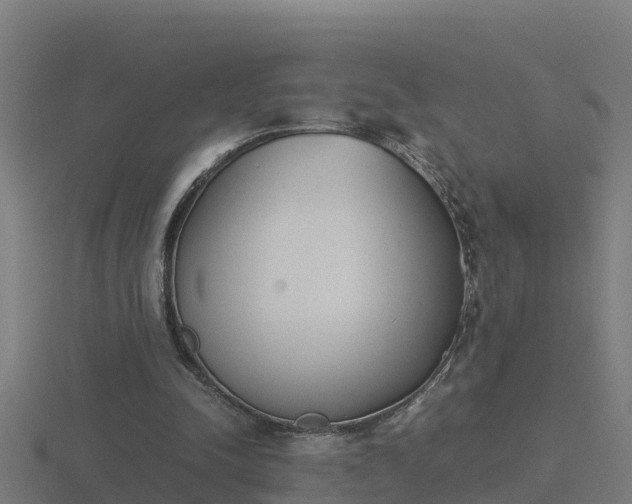 X0000116840342200912241233