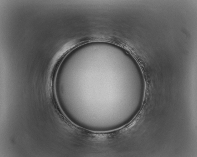 X0000116840343200912241233