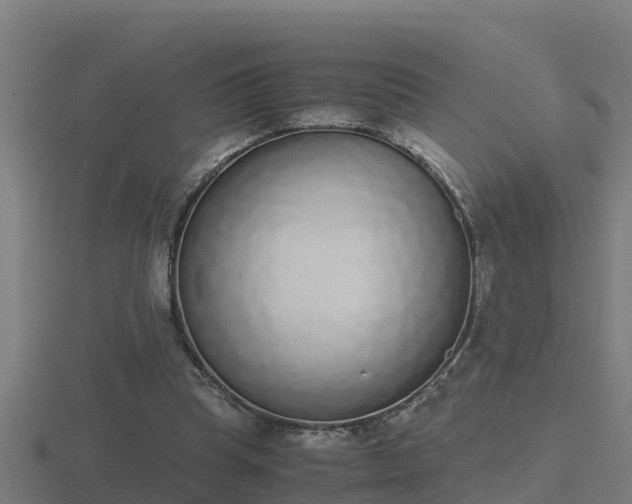 X0000116840345200912241233