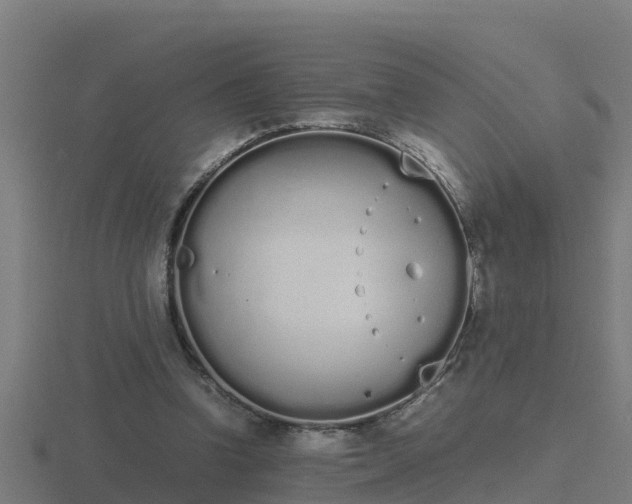 X0000116840346200912241233