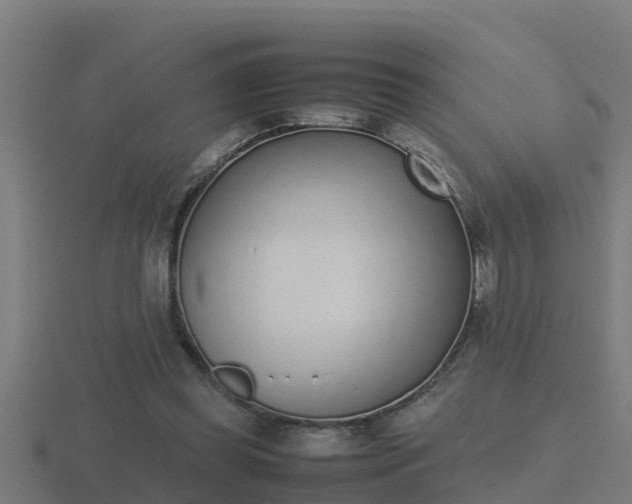 X0000116840349200912241233