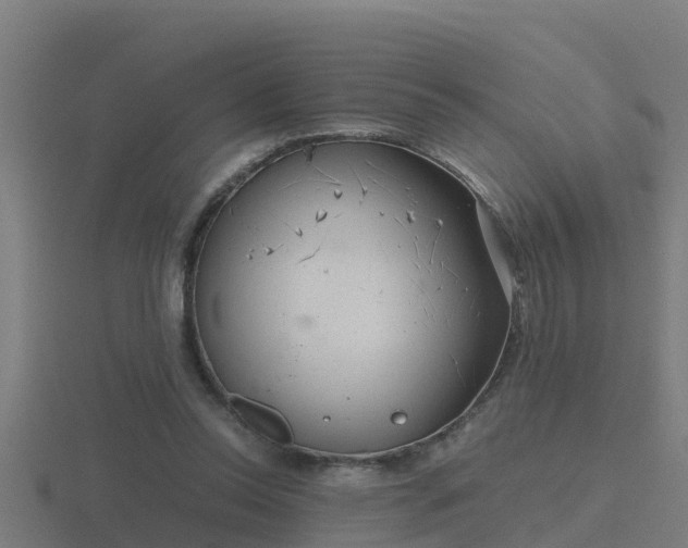 X0000116840350200912241233