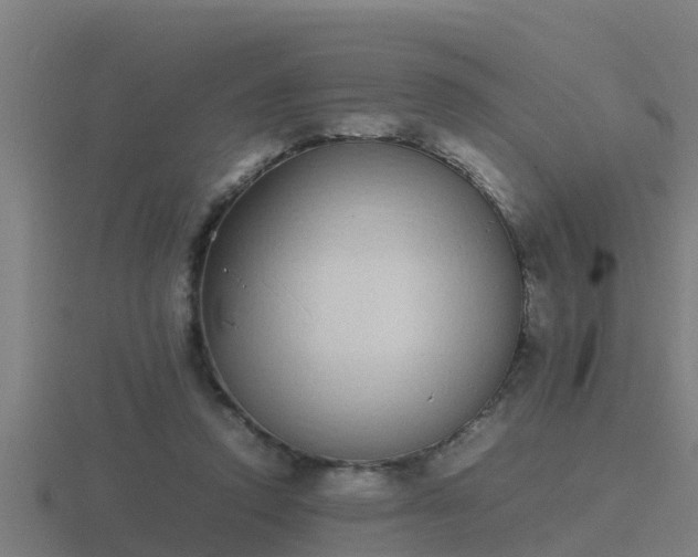 X0000116840354200912241233