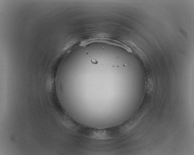 X0000116840355200912241233