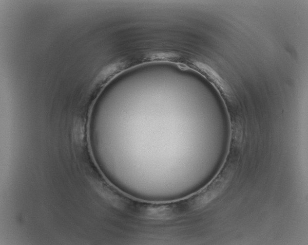 X0000116840357200912241233