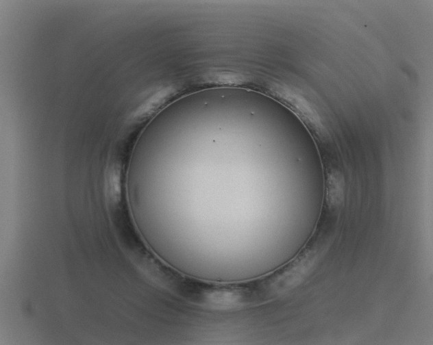 X0000116840358200912241233