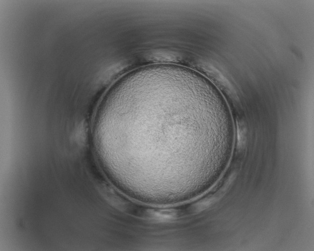 X0000116840359200912241233