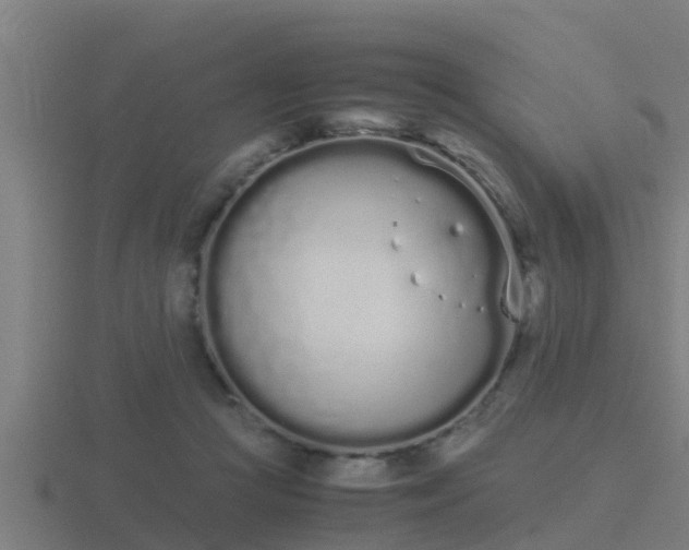 X0000116840361200912241233