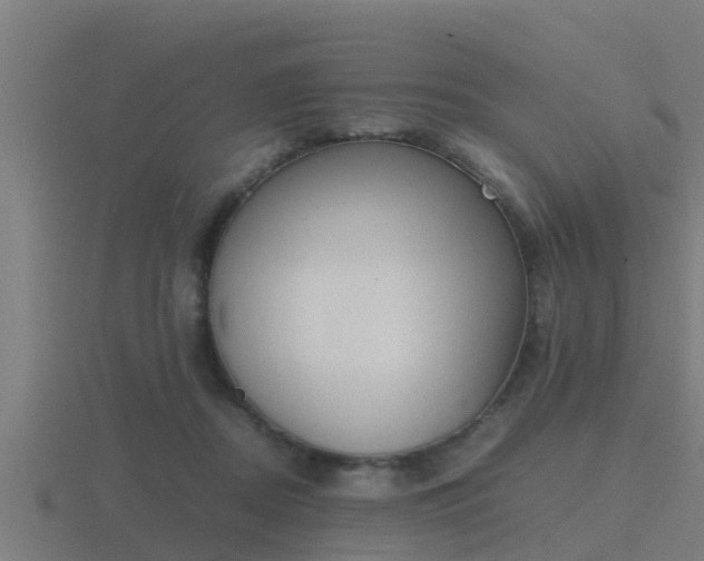 X0000116840362200912241233